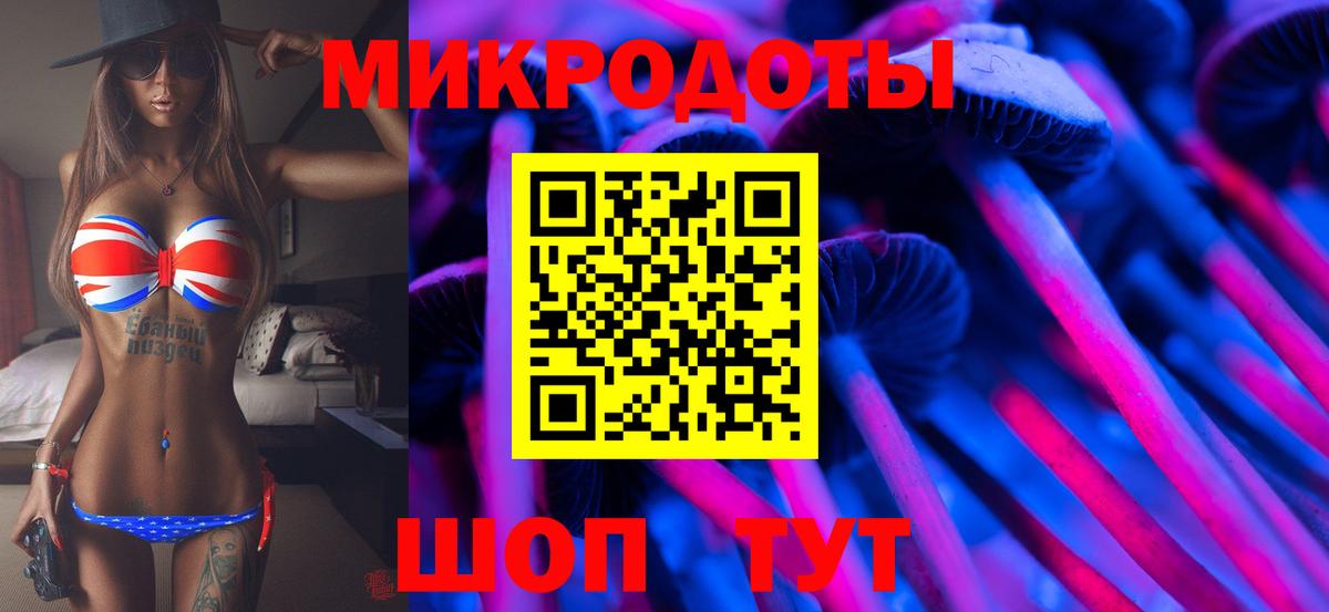 Галлюциногенные грибы MAGIC MUSHROOMS  что такое   Каменка  Вход с VPN 